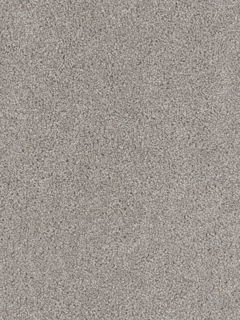 Dwellings ASHTON HILLS Dearborn Carpet