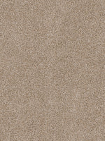 Load image into Gallery viewer, Dwellings ASHTON HILLS

