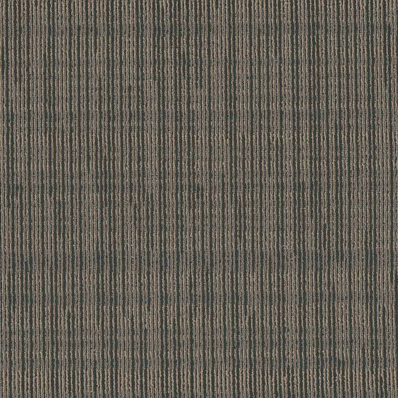Pentz Commercial BESPOKE TILE
