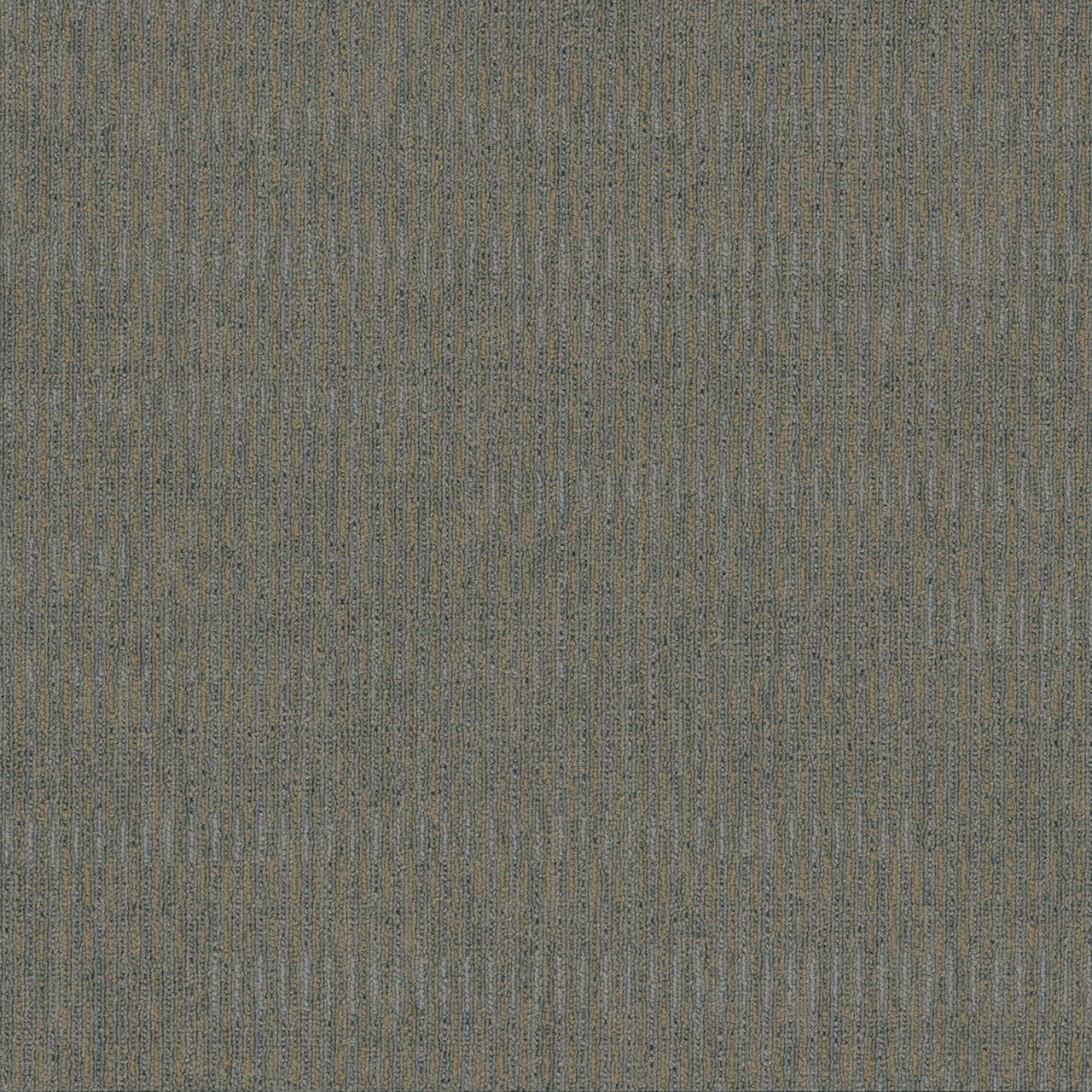 Pentz Commercial SIDEWINDER BROADLOOM