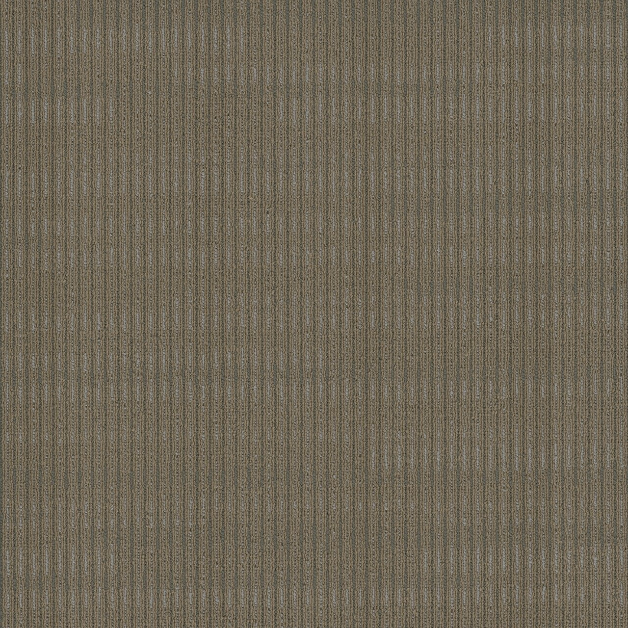 Pentz Commercial SIDEWINDER BROADLOOM