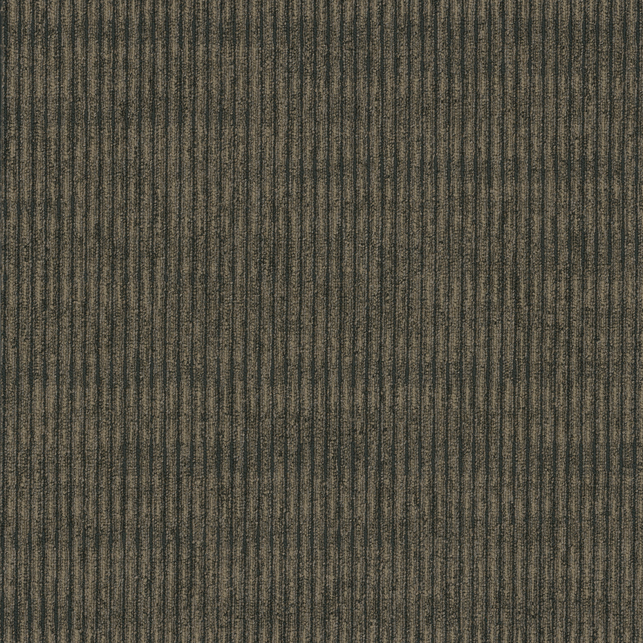 Pentz Commercial SIDEWINDER BROADLOOM
