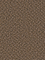 Load image into Gallery viewer, Dwellings PARK PLACE
