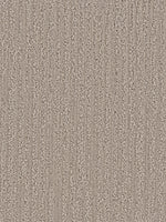 Load image into Gallery viewer, Dwellings OCEAN VIEW
