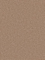 Load image into Gallery viewer, Dwellings ALL STAR
