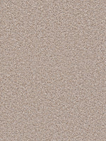 Load image into Gallery viewer, Dwellings ALL STAR
