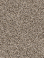 Load image into Gallery viewer, Dwellings CAPELLA II
