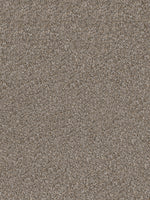 Load image into Gallery viewer, Dwellings CAPELLA II
