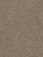 Load image into Gallery viewer, Dwellings CAPELLA II
