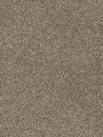 Load image into Gallery viewer, Dwellings CAPELLA II
