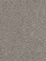 Load image into Gallery viewer, Dwellings CAPELLA II
