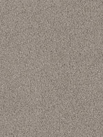 Load image into Gallery viewer, Dwellings CAPELLA II
