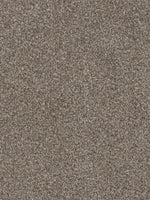 Load image into Gallery viewer, Dwellings CAPELLA II

