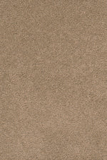 Load image into Gallery viewer, Dwellings LIVELINESS

