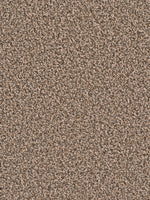 Load image into Gallery viewer, Dwellings TIMBERLAND II

