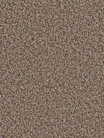 Load image into Gallery viewer, Dwellings TIMBERLAND II
