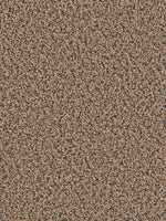 Load image into Gallery viewer, Dwellings TIMBERLAND II
