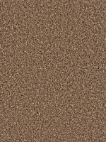 Load image into Gallery viewer, Dwellings TIMBERLAND II
