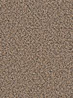 Load image into Gallery viewer, Dwellings TIMBERLAND II
