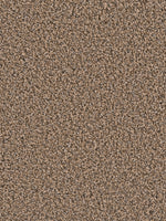 Load image into Gallery viewer, Dwellings TIMBERLAND II
