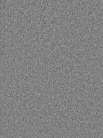 Load image into Gallery viewer, Dwellings OPULENT II
