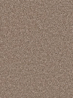 Load image into Gallery viewer, Dwellings OPULENT II
