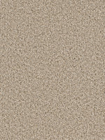 Load image into Gallery viewer, Dream Weaver COSMOPOLITAN II
