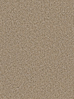 Load image into Gallery viewer, Dream Weaver COSMOPOLITAN
