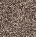 Load image into Gallery viewer, Mohawk Achiever Carpet
