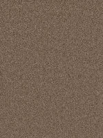 Load image into Gallery viewer, Dwellings KNOB CREEK
