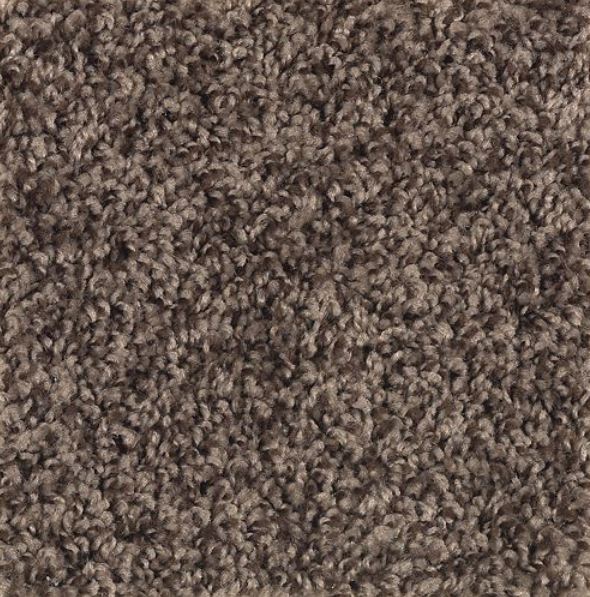 Mohawk Achiever Carpet