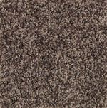 Load image into Gallery viewer, Mohawk Achiever Carpet
