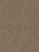 Load image into Gallery viewer, Dwellings CITARA I
