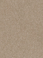 Load image into Gallery viewer, Dwellings CITARA I
