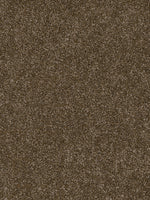 Load image into Gallery viewer, Dwellings CITARA I
