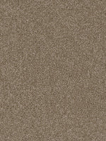 Load image into Gallery viewer, Dwellings CITARA I
