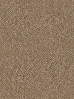 Load image into Gallery viewer, Dwellings CITARA I
