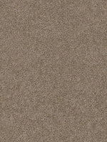 Load image into Gallery viewer, Dwellings CITARA I
