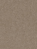 Load image into Gallery viewer, Dwellings CITARA I
