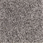 Load image into Gallery viewer, Mohawk Achiever Carpet
