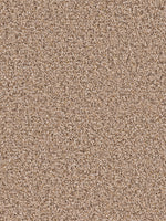 Load image into Gallery viewer, Dream Weaver SOFT HARMONY II
