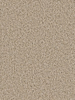 Load image into Gallery viewer, Dwellings RUNWAY II
