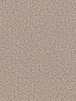 Load image into Gallery viewer, Dream Weaver GOTHEM
