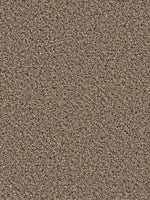Load image into Gallery viewer, Dream Weaver SIMPLY BLENDED
