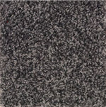 Load image into Gallery viewer, Mohawk Achiever Carpet
