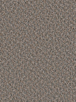 Load image into Gallery viewer, Dream Weaver TOAST OF THE TOWN

