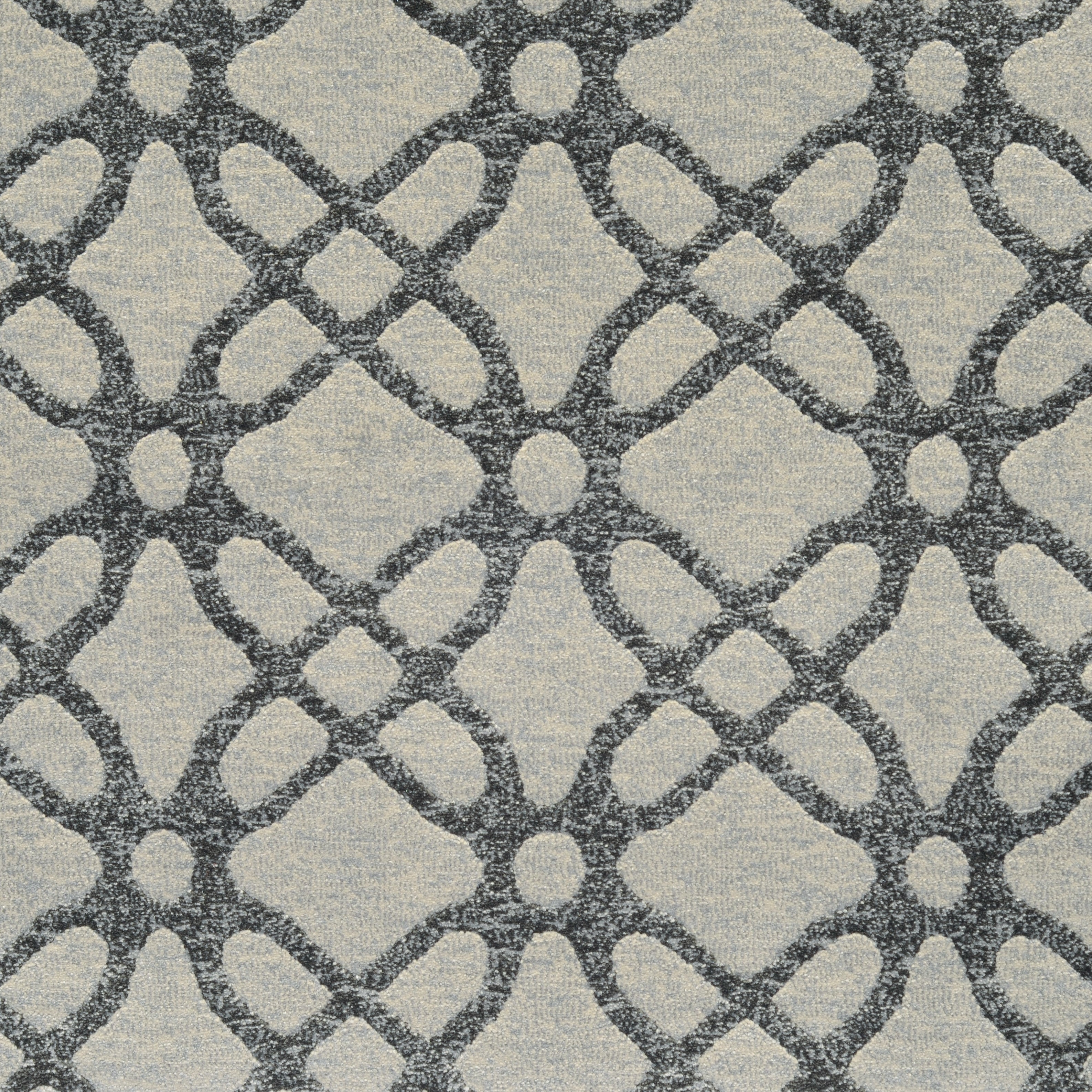 Kane Carpet : Aristotle