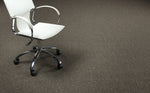 Load image into Gallery viewer, Pentz Commercial COLORPOINT TILE
