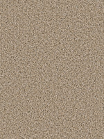Load image into Gallery viewer, Dwellings RUNWAY
