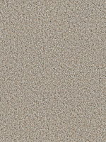 Load image into Gallery viewer, Dwellings RUNWAY II
